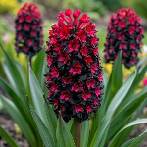 Гиацинт Джем Стоун купить по цене от 2099р. в интернет-магазине «Посадика» с доставкой почтой в в Сухиничие и по всей России – [изображение №1].