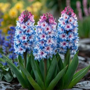 Гиацинт Пинк Мари купить по цене от 2099р. в интернет-магазине «Посадика» с доставкой почтой в в Сухиничие и по всей России – [изображение №1].