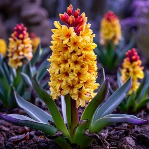 Гиацинт Миднайт Мистери купить по цене от 2099р. в интернет-магазине «Посадика» с доставкой почтой в в Сухиничие и по всей России – [изображение №1].