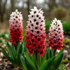 Гиацинт Скай Гарден купить по цене от 2099р. в интернет-магазине «Посадика» с доставкой почтой в в Сухиничие и по всей России – [изображение №1].